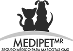 MEDIPEYLOGO